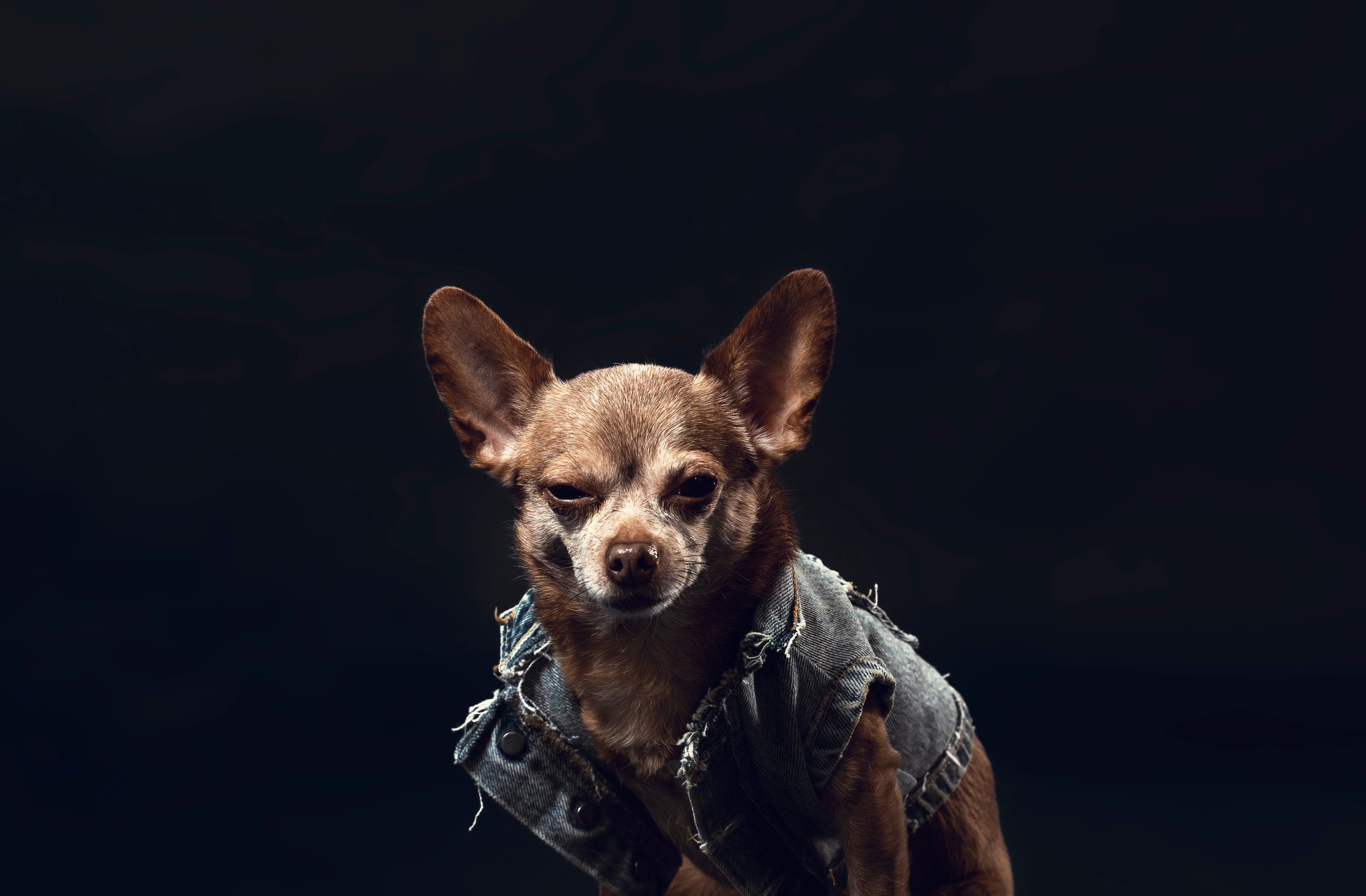 Yan